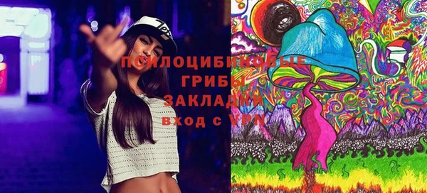 прущий лед Переславль-Залесский