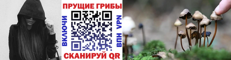 Псилоцибиновые грибы Magic Shrooms  цена наркотик  Высоковск 